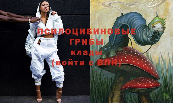 винт Алзамай