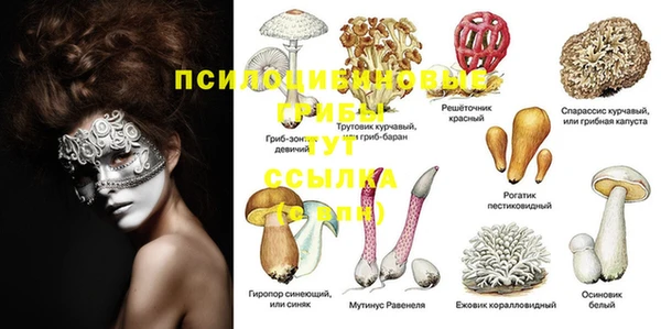 соль ск Абаза